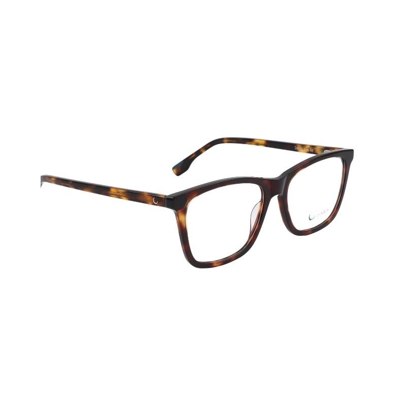 Loup LP7905c2