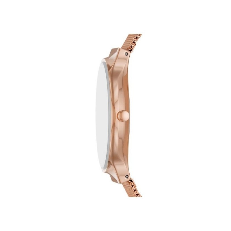 Skagen SKW3020