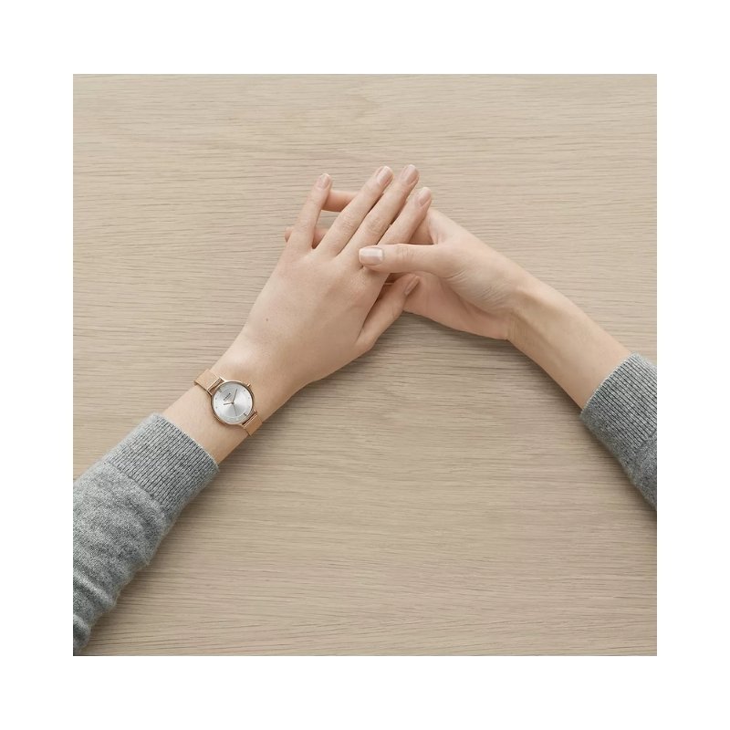 Skagen SKW3053